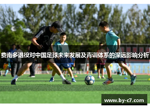 费南多退役对中国足球未来发展及青训体系的深远影响分析 费南多退役对中国足球未来发展及青训体系的深远影响分析