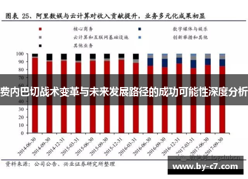 费内巴切战术变革与未来发展路径的成功可能性深度分析 费内巴切战术变革与未来发展路径的成功可能性深度分析