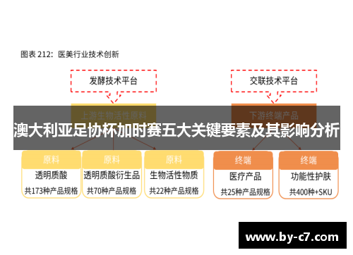 澳大利亚足协杯加时赛五大关键要素及其影响分析 澳大利亚足协杯加时赛五大关键要素及其影响分析