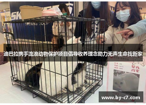 迪巴拉携手流浪动物保护项目倡导收养理念助力无声生命找新家 迪巴拉携手流浪动物保护项目倡导收养理念助力无声生命找新家