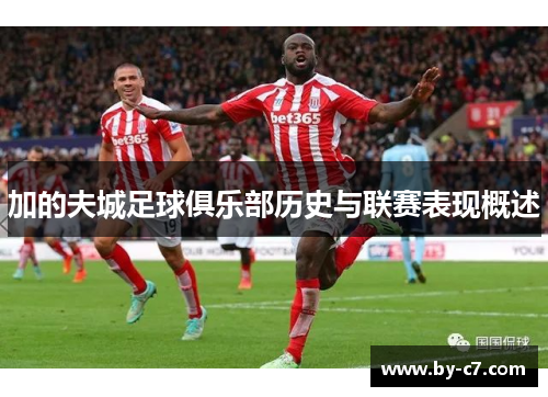 加的夫城足球俱乐部历史与联赛表现概述