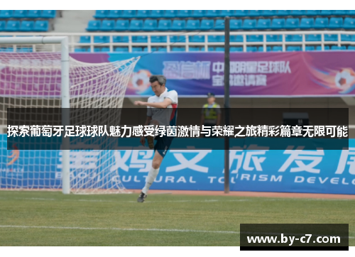 探索葡萄牙足球球队魅力感受绿茵激情与荣耀之旅精彩篇章无限可能