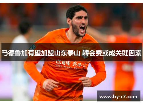 马德鲁加有望加盟山东泰山 转会费或成关键因素
