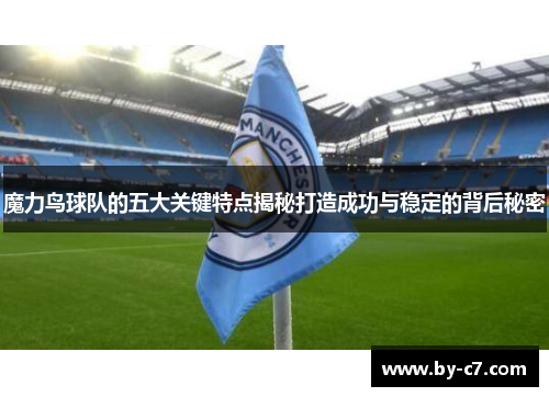 魔力鸟球队的五大关键特点揭秘打造成功与稳定的背后秘密