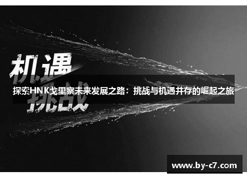 探索HNK戈里察未来发展之路：挑战与机遇并存的崛起之旅