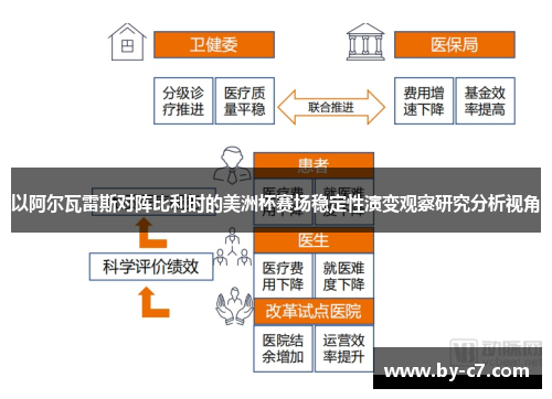 以阿尔瓦雷斯对阵比利时的美洲杯赛场稳定性演变观察研究分析视角