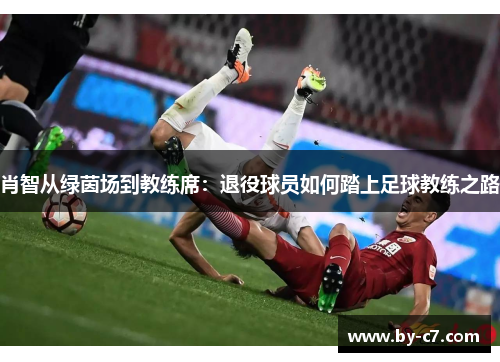 肖智从绿茵场到教练席：退役球员如何踏上足球教练之路