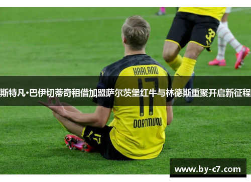 斯特凡·巴伊切蒂奇租借加盟萨尔茨堡红牛与林德斯重聚开启新征程